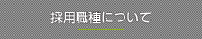 採用職種について